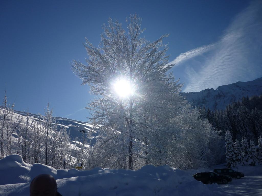 Appartementhaus Alpenrose Wallgau Esterno foto