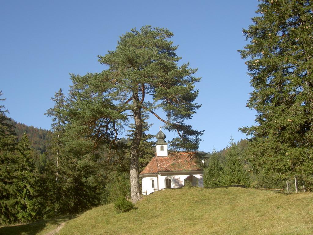 Appartementhaus Alpenrose Wallgau Esterno foto