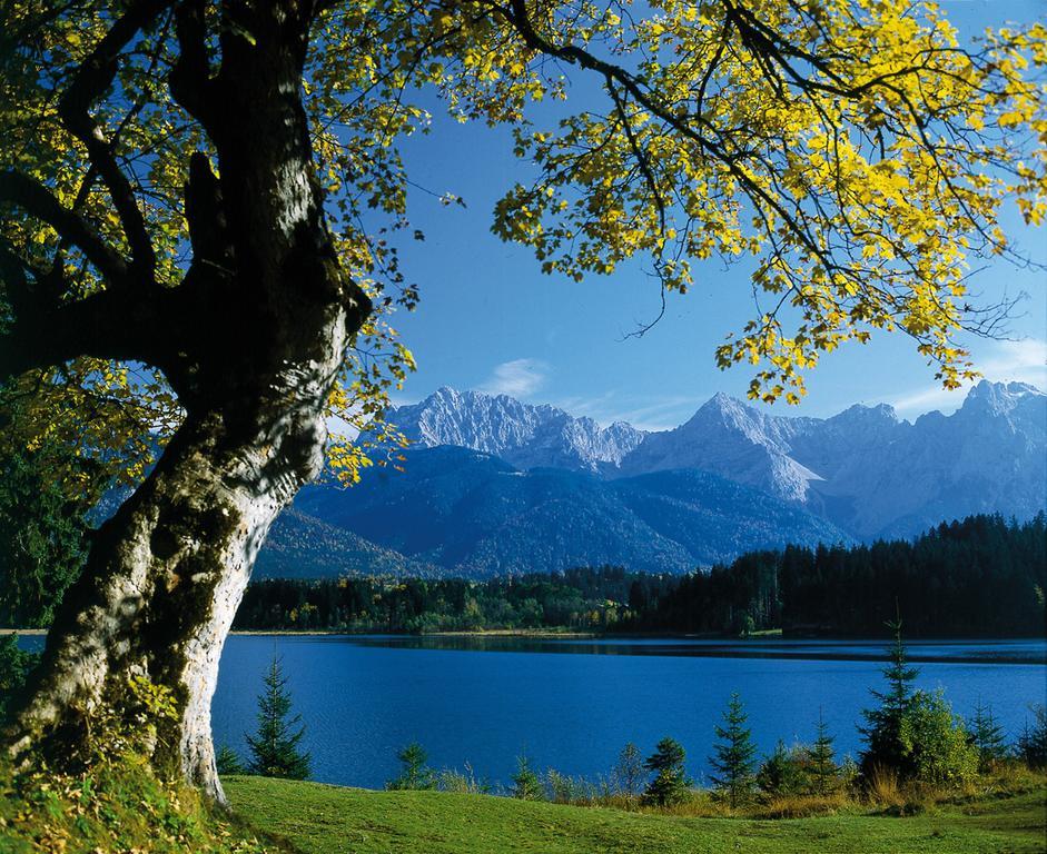 Appartementhaus Alpenrose Wallgau Esterno foto